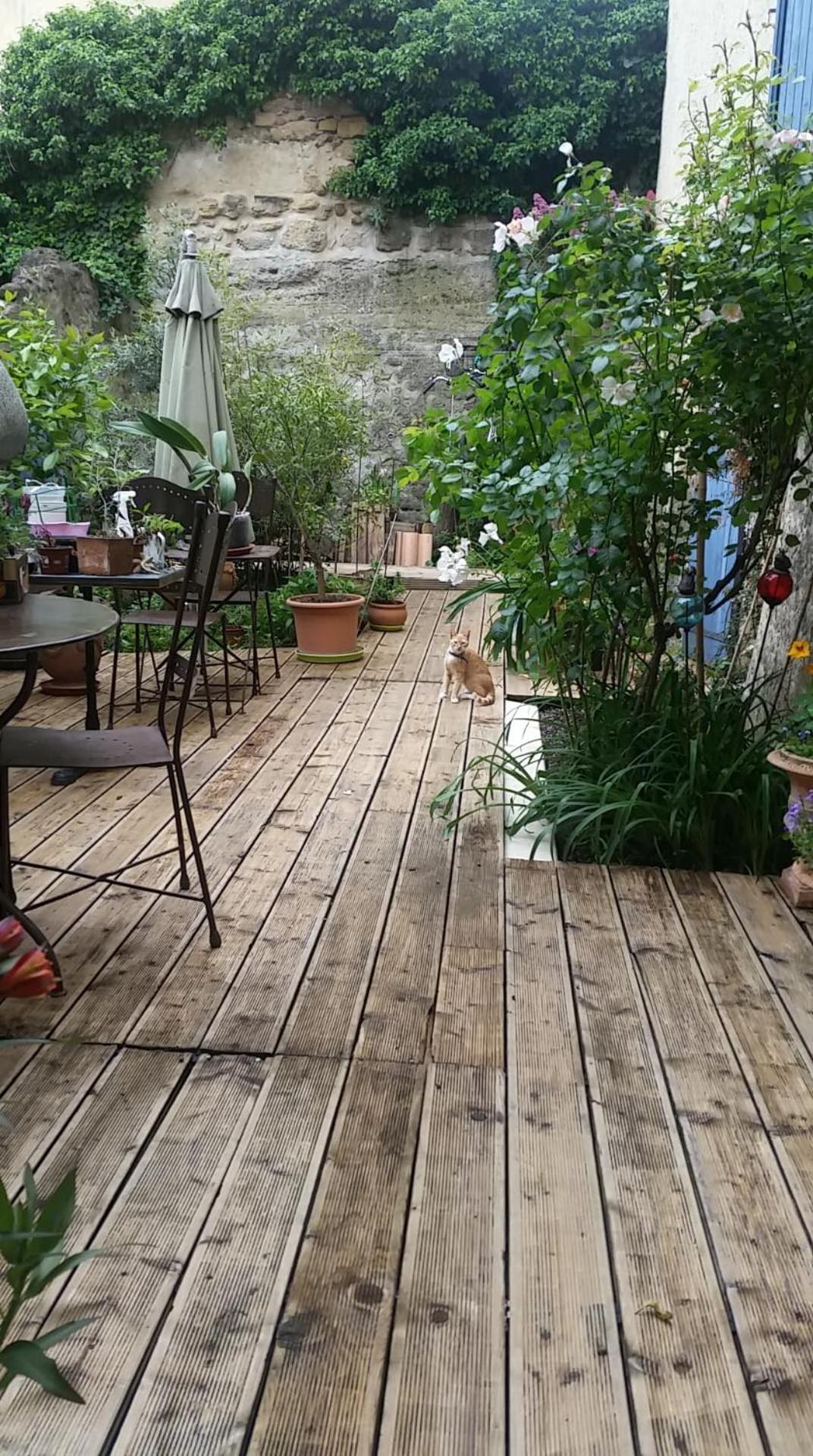 Chambres d'hôtes Saint-Exupéry Entraigues-sur-la-Sorgue Extérieur photo